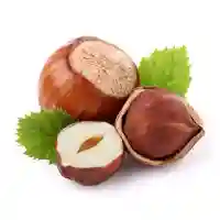 hasselpähkinä